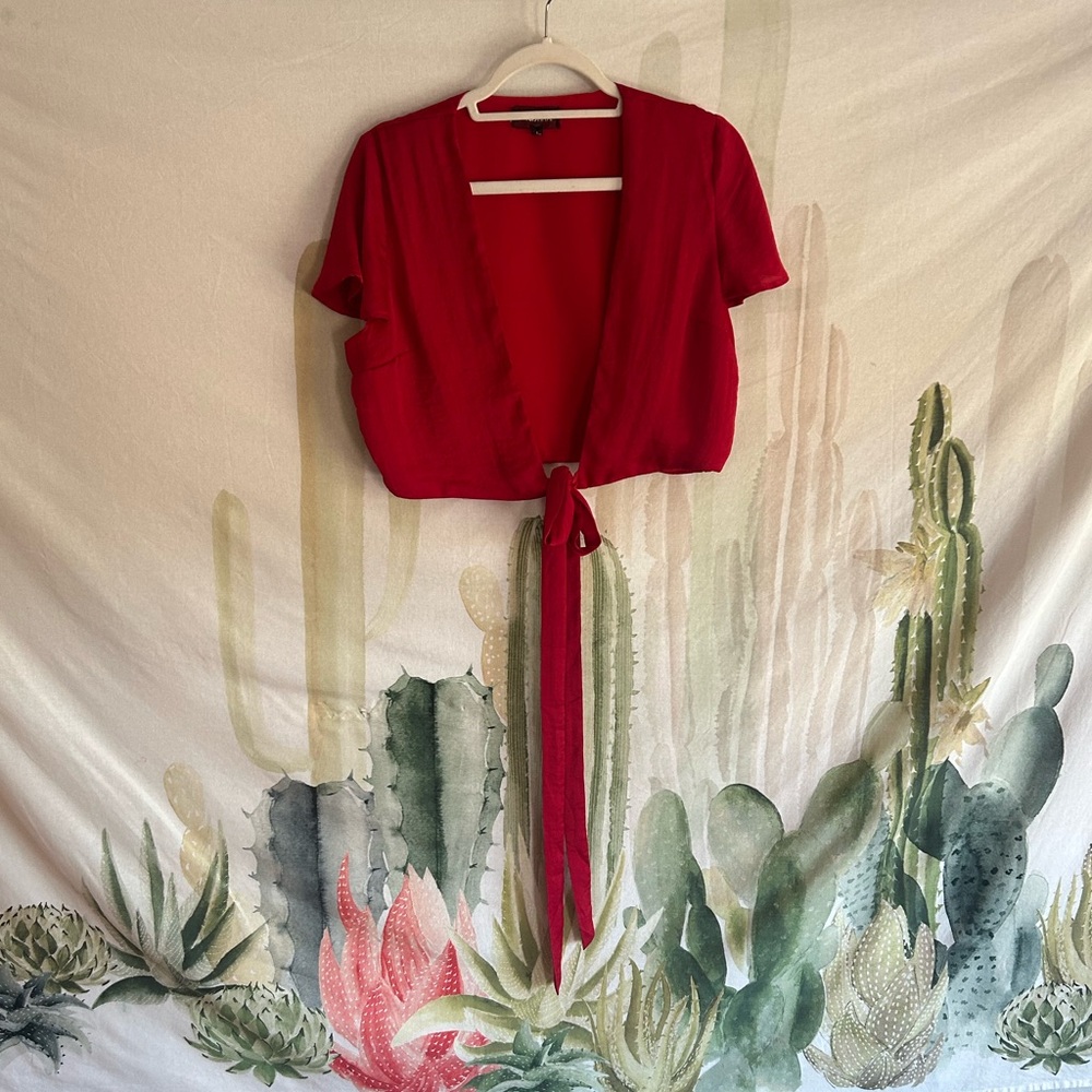 Red Tie-Front Satin Crop Top